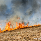 Hazard Reduction Burn | Narrandera Leeton Airport