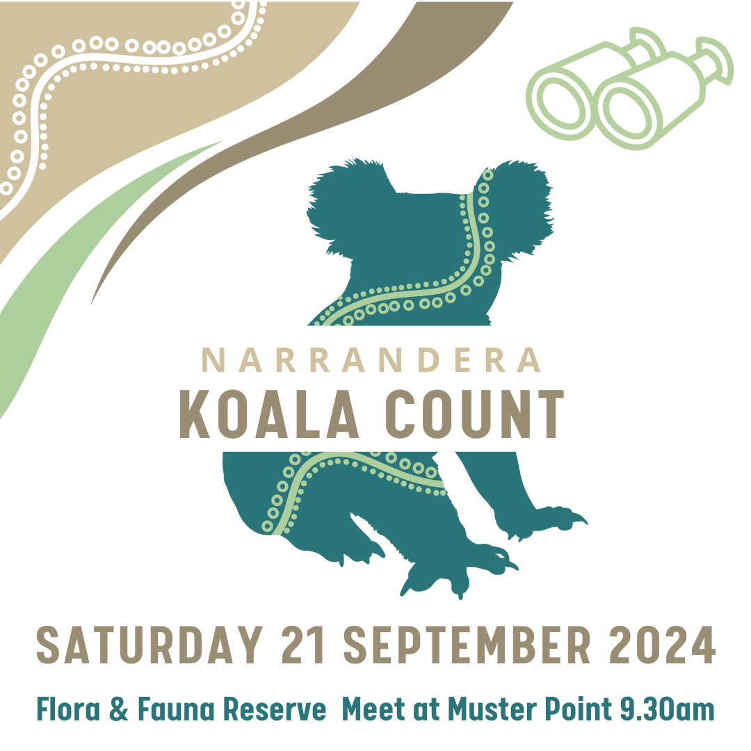 Narrandera Koala Count 2024